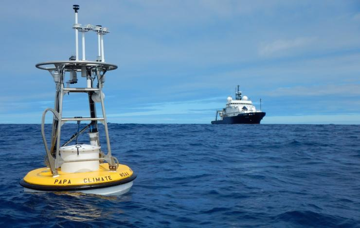 View of Best practices and tools for assessing trends in ocean acidification ...
