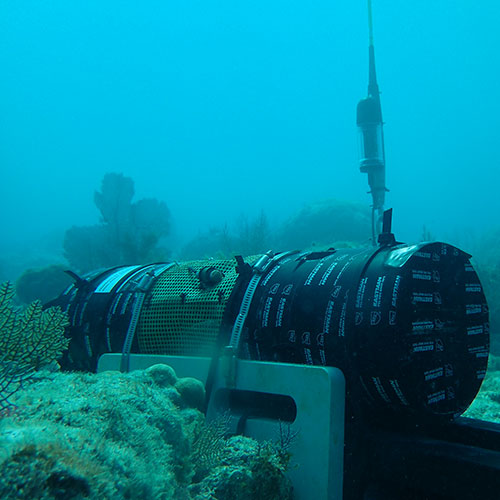 Buoyancy Issues Of Reducing Ocean Ph Slowly photo